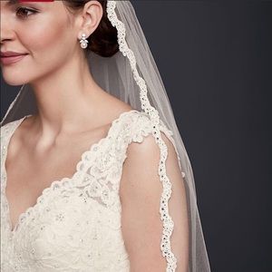 Cathedral Ivory lace and crystal embellished veil